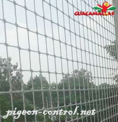 anti bird netting installed of avoid the approach of the birds