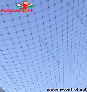 Pigeon mesh installed in a field of crops